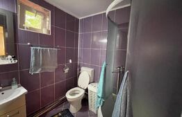  2 Case individuale 100 mp, teren 5000 mp, comuna Teslui,sat Fântânele 