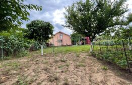  2 Case individuale 100 mp, teren 5000 mp, comuna Teslui,sat Fântânele 