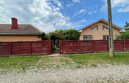  2 Case individuale 100 mp, teren 5000 mp, comuna Teslui,sat Fântânele 