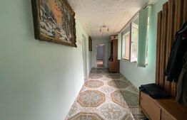  2 Case individuale 100 mp, teren 5000 mp, comuna Teslui,sat Fântânele 