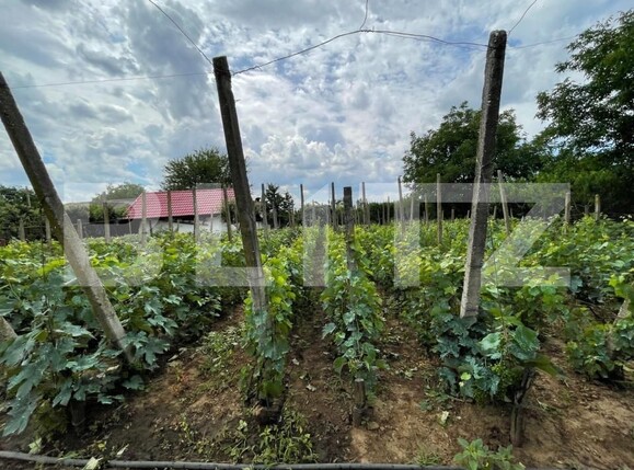 Casa de vânzare 6 camere Exterior Est - 148249CV | BLITZ Craiova | Poza5