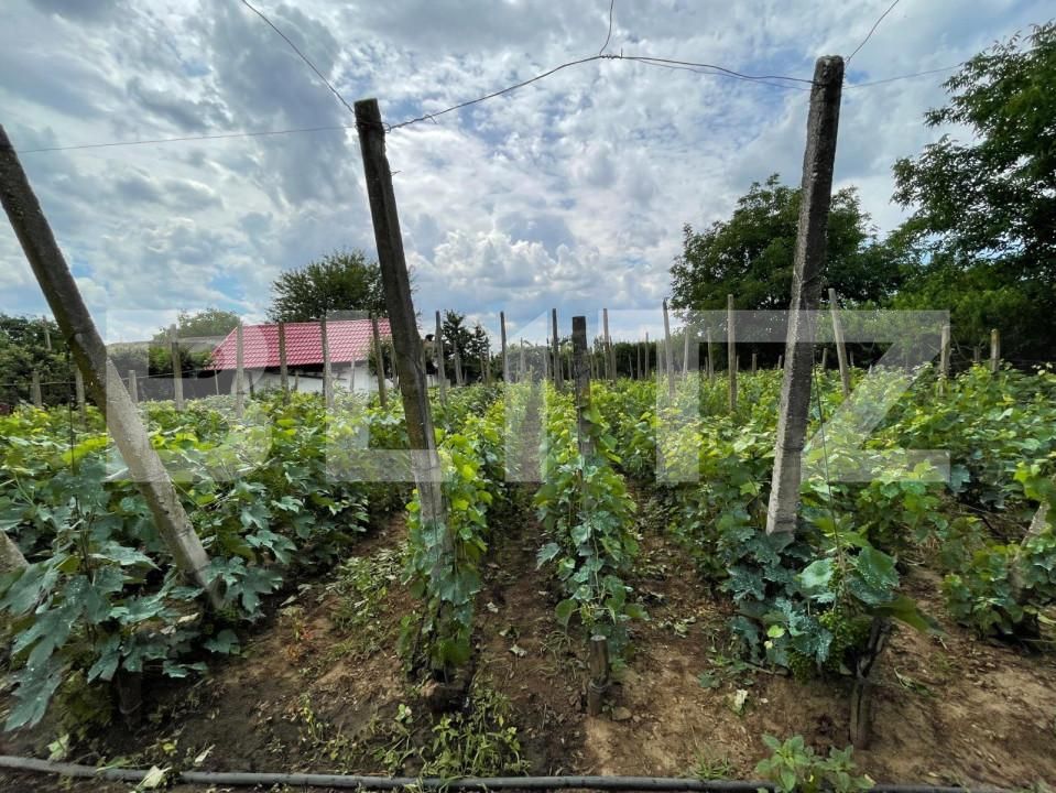 Casa de vânzare 6 camere Exterior Est - 148249CV | BLITZ Craiova | Poza5