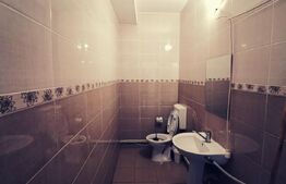 Casa in duplex, 130 mp, teren 300 mp, zona Ford