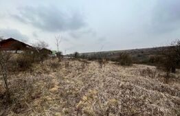 Teren 5.613 mp, zona de padure si livezi, Breasta/Predesti