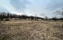 REDUCERE!!! Teren extravilan 5.613 mp, livadă, zona Predești