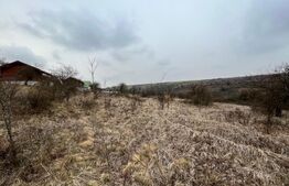 REDUCERE!!! Teren extravilan 5.613 mp, livadă, zona Predești