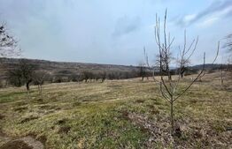 Teren 5.613 mp, zona de padure si livezi, Breasta/Predesti