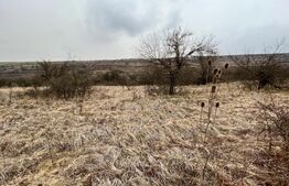 REDUCERE!!! Teren extravilan 5.613 mp, livadă, zona Predești