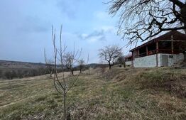 REDUCERE!!! Teren extravilan 5.613 mp, livadă, zona Predești