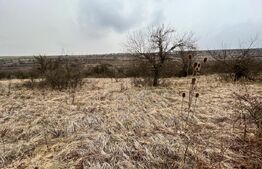 Teren 5.613 mp, zona de padure si livezi, Breasta/Predesti