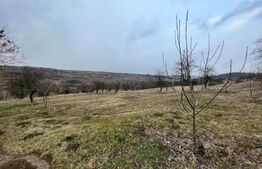 REDUCERE!!! Teren extravilan 5.613 mp, livadă, zona Predești