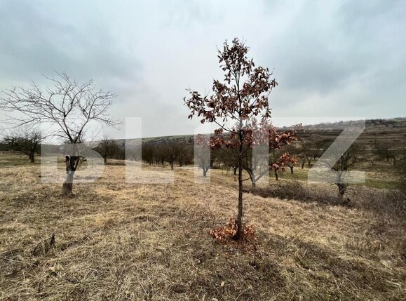 Teren de vânzare Nord-Vest - 148308TV | BLITZ Craiova | Poza1