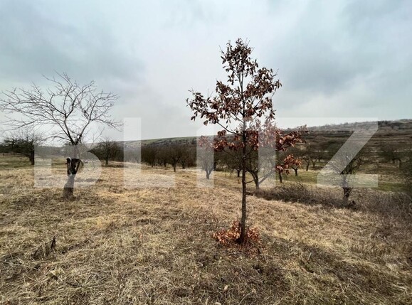 Teren de vânzare Nord-Vest - 148308TV | BLITZ Craiova | Poza2