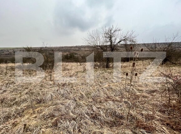 Teren de vânzare Nord-Vest - 148308TV | BLITZ Craiova | Poza7