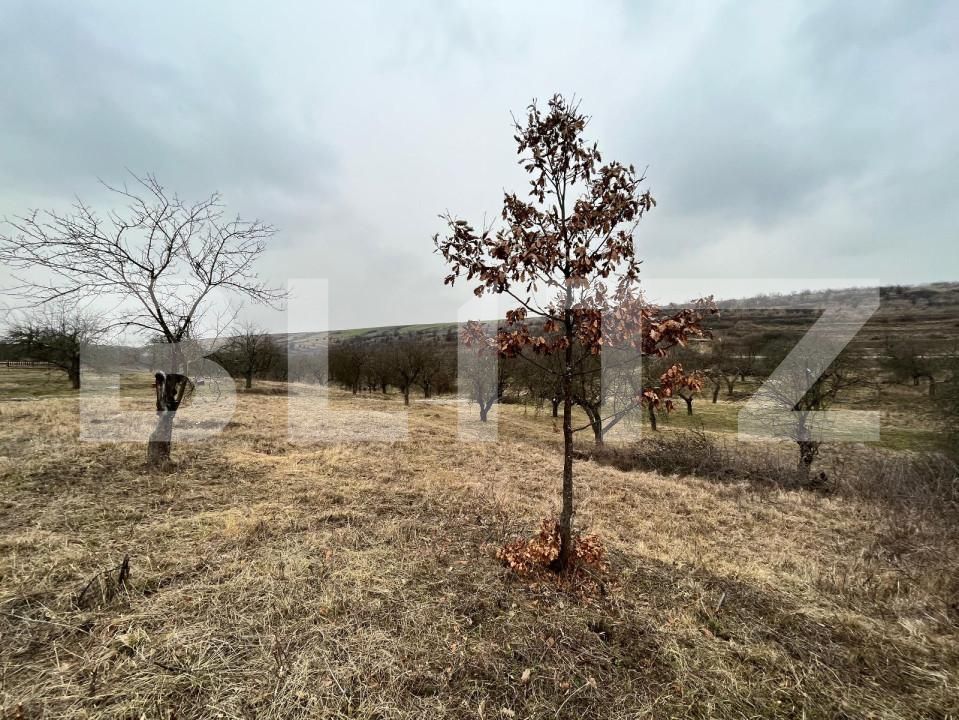 Teren de vânzare Nord-Vest - 148308TV | BLITZ Craiova | Poza2