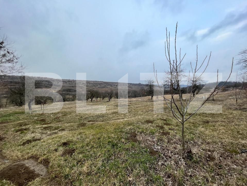 Teren de vânzare Nord-Vest - 148308TV | BLITZ Craiova | Poza4
