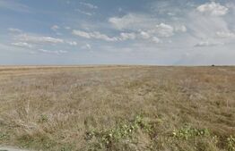 Teren 1000mp front 23 ml ,zona Ghercești-Aeroport, langa drumul Expres