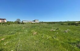 Teren Intravilan 3800 mp, zona OMV Hanul doctorului