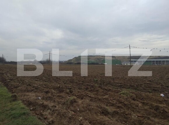 Teren de vânzare Mofleni - 148501TV | BLITZ Craiova | Poza1