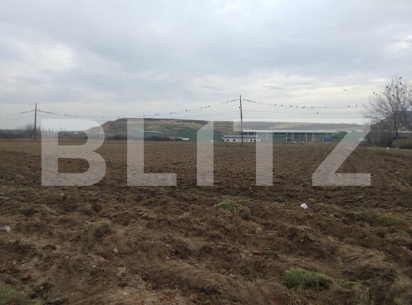 Teren de vânzare Mofleni - 148501TV | BLITZ Craiova | Poza2