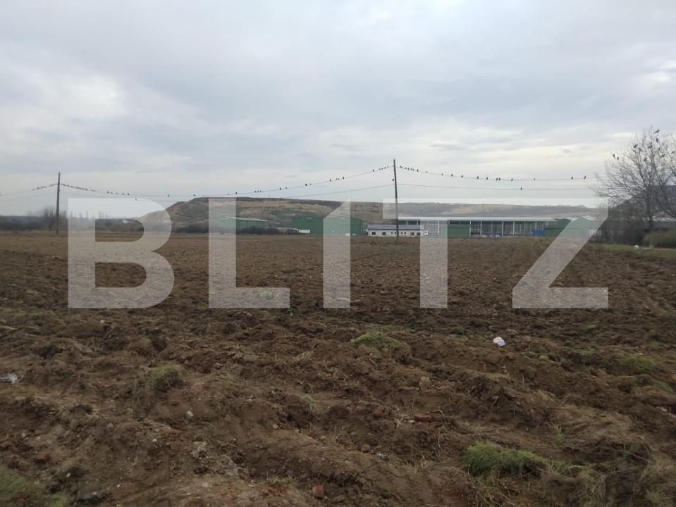 Teren de vânzare Mofleni - 148501TV | BLITZ Craiova | Poza2