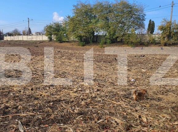 Teren de vânzare Bariera Valcii - 148502TV | BLITZ Craiova | Poza2