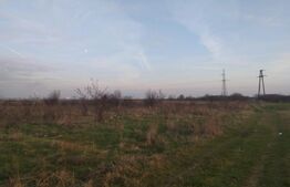 Teren extravilan, 7200 mp, Cernele