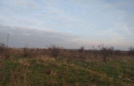 Teren extravilan, 7200 mp, Cernele