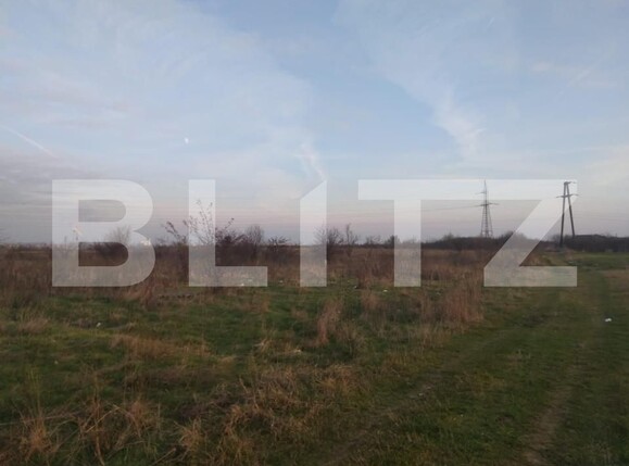 Teren de vânzare Cernele - 148503TV | BLITZ Craiova | Poza1