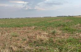 Teren 1000 mp, intravilan, Ghercesti (Aeroport)