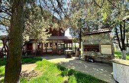 OPORTUNITATE! 8 hale de peste 16.000 mp, teren intravilan 4,5 ha, Brădești