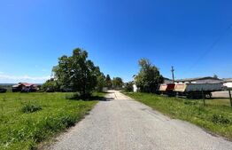 OPORTUNITATE! 8 hale de peste 16.000 mp, teren intravilan 4,5 ha, Brădești