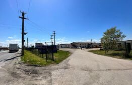 OPORTUNITATE! 8 hale de peste 16.000 mp, teren intravilan 4,5 ha, Brădești