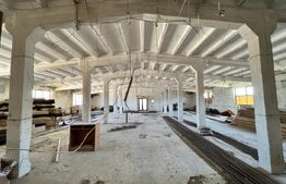 OPORTUNITATE! 8 hale de peste 16.000 mp, teren intravilan 4,5 ha, Brădești