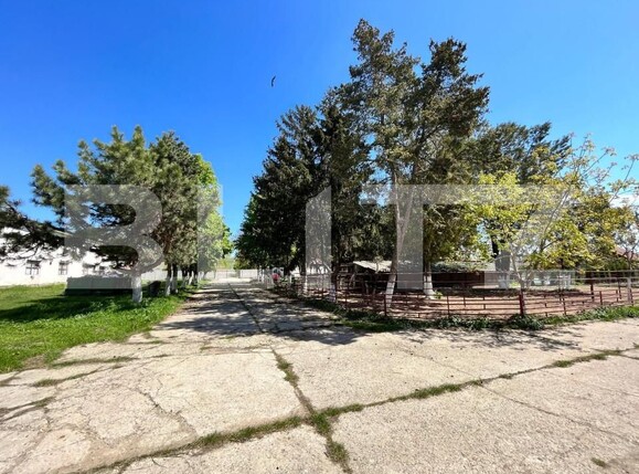 Spațiu industrial de vânzare Vest - 148616SVI | BLITZ Craiova | Poza7