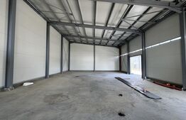 Hală nouă P + 1/parțial, 280 mp utili, teren de 900 mp, Drumul Industriilor