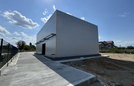 Hală nouă P + 1/parțial, 280 mp utili, teren de 900 mp, Drumul Industriilor