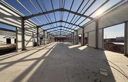 3 hale noi pe parter, 1.755 mp utili, teren 4.000 mp, zona Ghercești