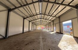 Spațiu industrial de închiriat Est - 191021SII | BLITZ Craiova | Poza2