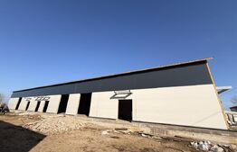 3 hale noi pe parter, 1.755 mp utili, teren 4.000 mp, zona Ghercești