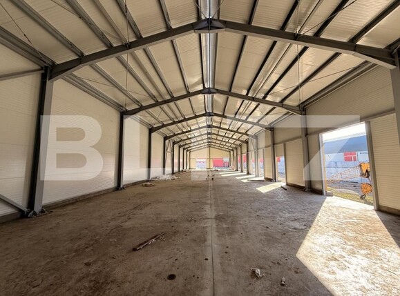 Spațiu industrial de închiriat Ghercesti - 148644SII | BLITZ Craiova | Poza1