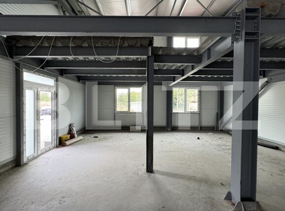 Spațiu industrial de vânzare Vest - 148645SVI | BLITZ Craiova | Poza3