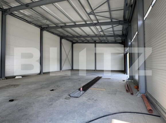 Spațiu industrial de vânzare Vest - 148645SVI | BLITZ Craiova | Poza11