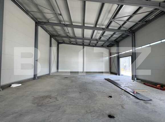 Spațiu industrial de vânzare Vest - 148645SVI | BLITZ Craiova | Poza12