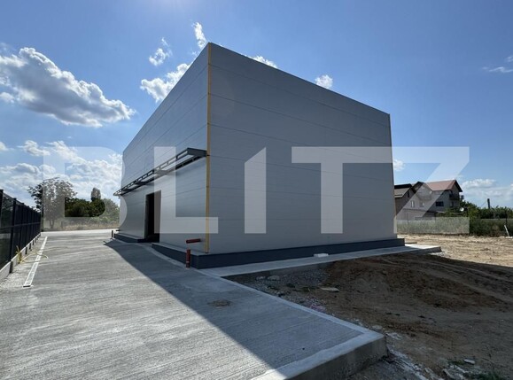Spațiu industrial de vânzare Vest - 148645SVI | BLITZ Craiova | Poza9