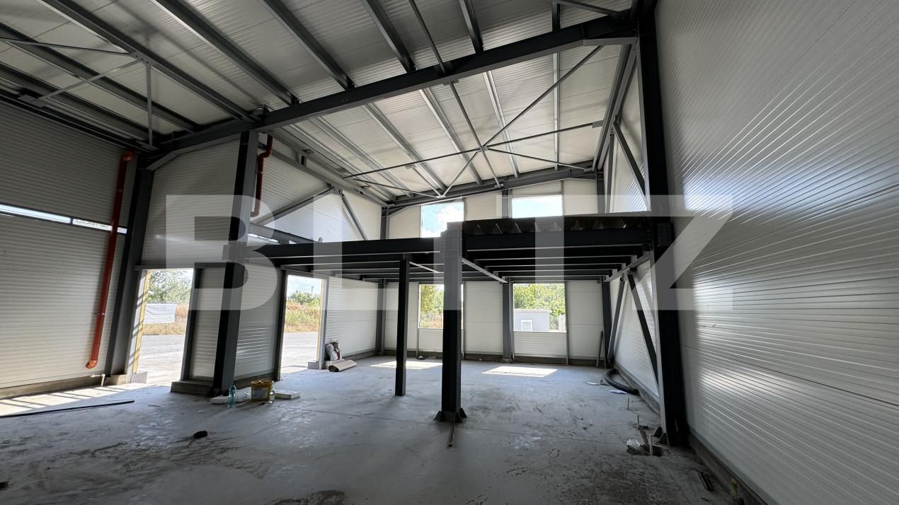 Spațiu industrial de vânzare Vest - 148645SVI | BLITZ Craiova | Poza10