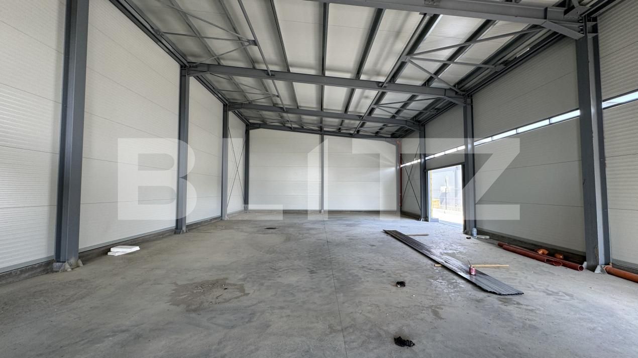 Spațiu industrial de vânzare Vest - 148645SVI | BLITZ Craiova | Poza12