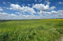 Teren de vanzare, 9500 mp, Zona Centura Nord