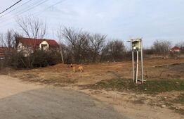 Teren intravilan 1.533 mp, toate utilitățile și proiect 4 case autorizat, Cârcea