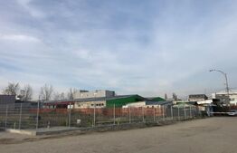 Teren intravilan de 2.195 mp, toate utilitățile, Valea Roșie